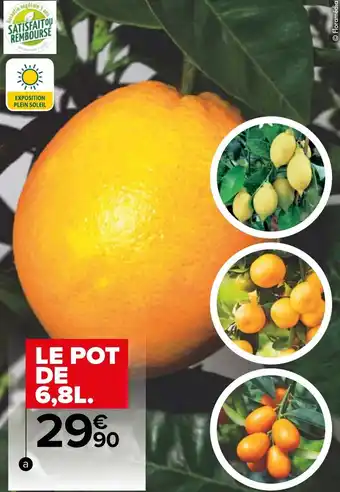 Carrefour Agrumes offre