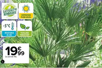 Carrefour Palmier offre