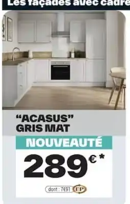 Brico Dépôt ACASUS GRIS MAT offre