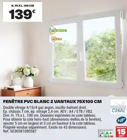 Brico Dépôt Fenêtre pvc blanc 2 vantaux offre