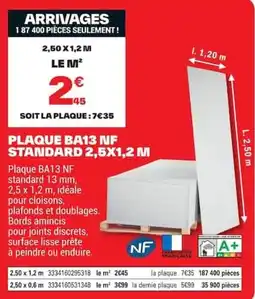 Brico Dépôt PLAQUE BA13 NF offre