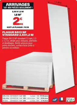 Brico Dépôt PLAQUE BA13 NF offre