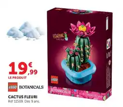 Hyper U LEGO BOTANICALS CACTUS FLEURI offre