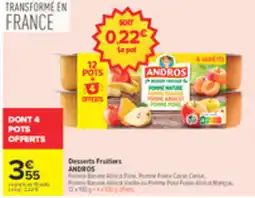 Carrefour ANDROS Desserts Fruitiers offre