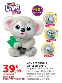 Hyper U Little Live Pets MON BEBE KOALA offre