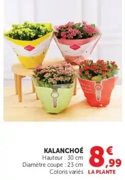Hyper U KALANCHOÉ offre
