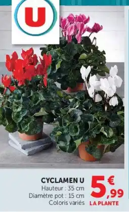 Hyper U CYCLAMEN U offre