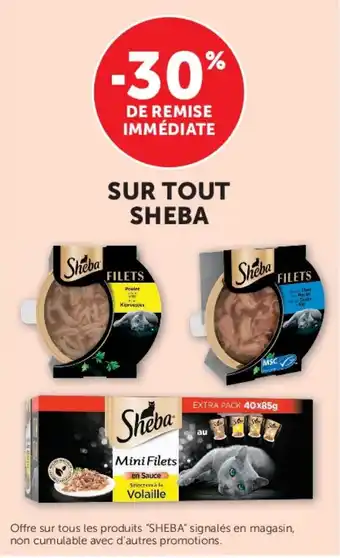Sheba Filets