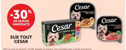 Super U Cesar offre