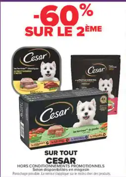 Carrefour Cesar les terrines offre
