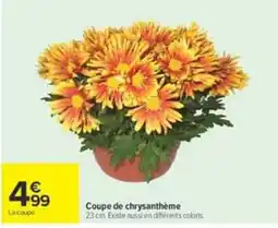 Carrefour Coupe de chrysanthème offre
