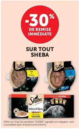 Hyper U Sheba offre