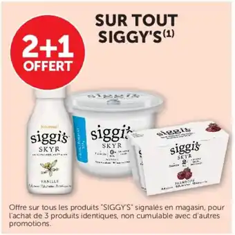 Siggi's SKYR