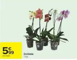 Carrefour Orchidée offre