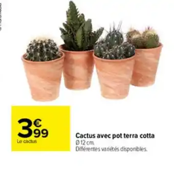 Carrefour Cactus Avec Pot Terra Cotta offre