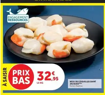 NOIX DE COQUILLES SAINT JACQUES