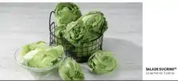 Hyper U SALADE SUCRINE offre