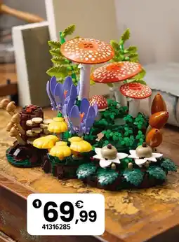 JouéClub Lego 11505 les champignons des bois offre