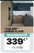Brico Dépôt Coline chene clair offre