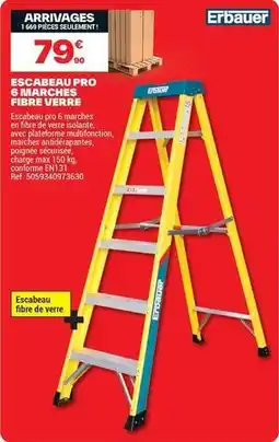 Brico Dépôt Erbauer - escabeau pro 6 marches offre