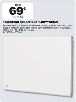 Brico Dépôt Facile - radiateur ceramique loxy 500w offre