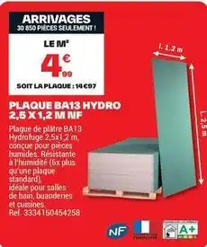 Brico Dépôt Francaise - plaque ba13 hydro 2.5x12 m inf offre