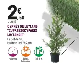 E.Leclerc Jardi CYPRES DE LEYLAND "CUPRESSOCYPARIS LEYLANDII" offre