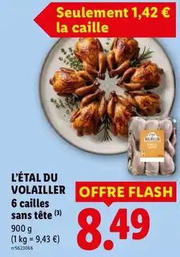 Lidl VOLAILLER cailles offre
