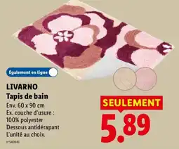 Lidl LIVARNO Tapis de bain offre