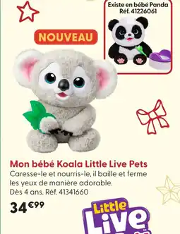 La Grande Récré Little live pets mon bébé koala offre