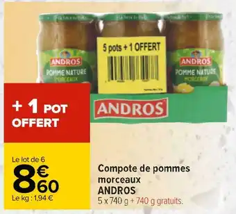 Carrefour Andros compote de pommes morceaux offre