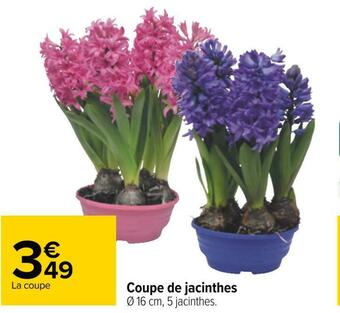 Carrefour Coupe de jacinthes offre