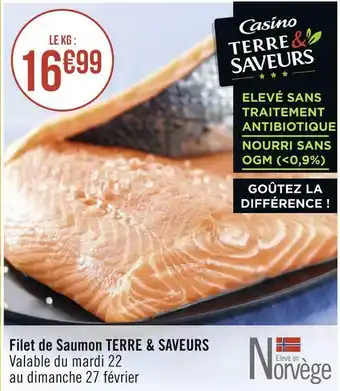 Géant Casino Terre saveurs filet de saumon offre