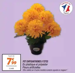 Netto Pot Chrysanthèmes 9 Têtes offre