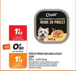 Netto Cesar Pâtée en terrine pour chien au poulet offre