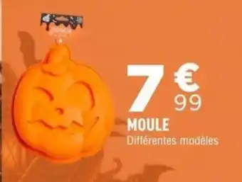 MOULE