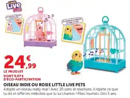 Super U Little Live Pets Oiseau Indie ou Rosie offre