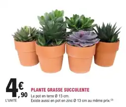 E.Leclerc Brico PLANTE GRASSE SUCCULENTE offre