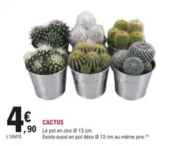 E.Leclerc Brico CACTUS offre