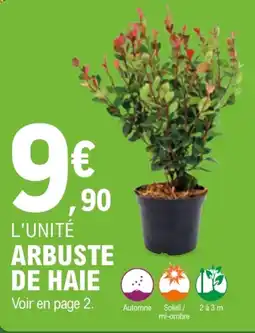 E.Leclerc Brico ARBUSTE DE HAIE offre