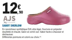 E.Leclerc Brico AJ SABOT SHERLOW offre