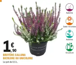 E.Leclerc Brico CALLUNA BRUYÈRE offre