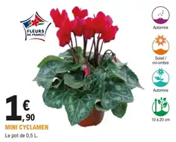 E.Leclerc Brico FLEURS DE FRANCE MINI CYCLAMEN offre