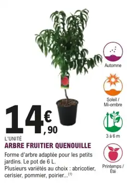 E.Leclerc Brico ARBRE FRUITIER QUENOUILLE offre