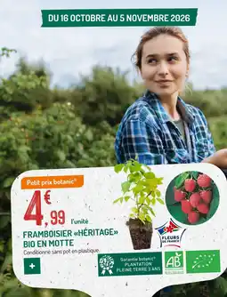 Botanic Petit prix botanic® FRAMBOISIER «HÉRITAGE» BIO EN MOTTE offre