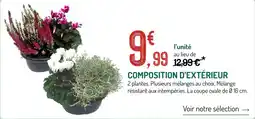 Botanic COMPOSITION D'EXTÉRIEUR offre