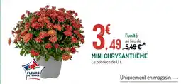 Botanic FLEURS DE FRANCE MINI CHRYSANTHÈME offre