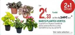 Botanic BABYS PLANTES VERDES offre
