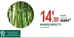 Botanic BAMBOU BISSETTI offre