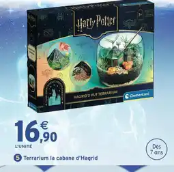 Intermarché Hyper Harry potter terrarium la cabane d'hagrid offre